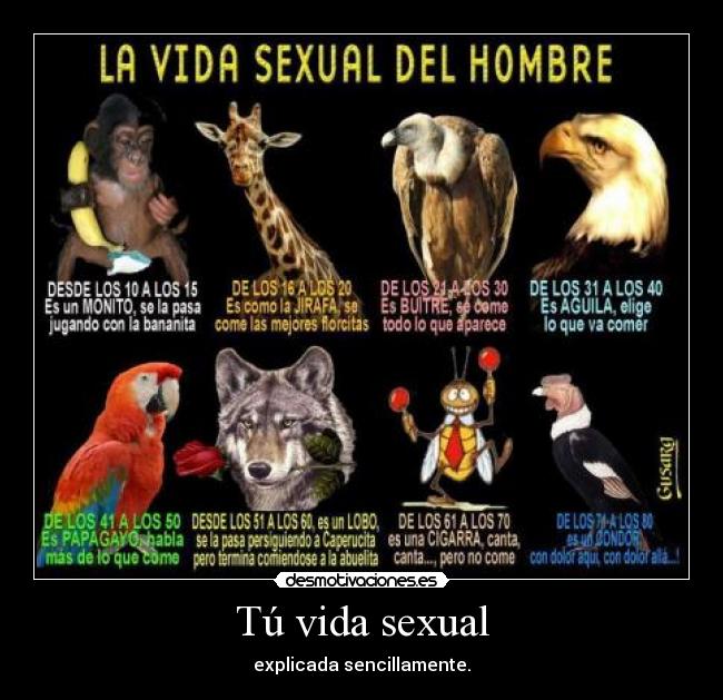 Tú vida sexual - explicada sencillamente.