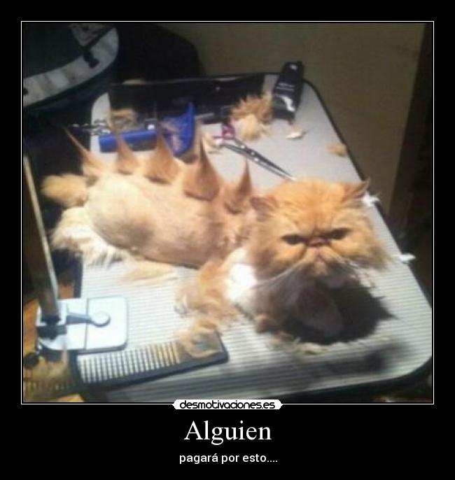 Alguien - 