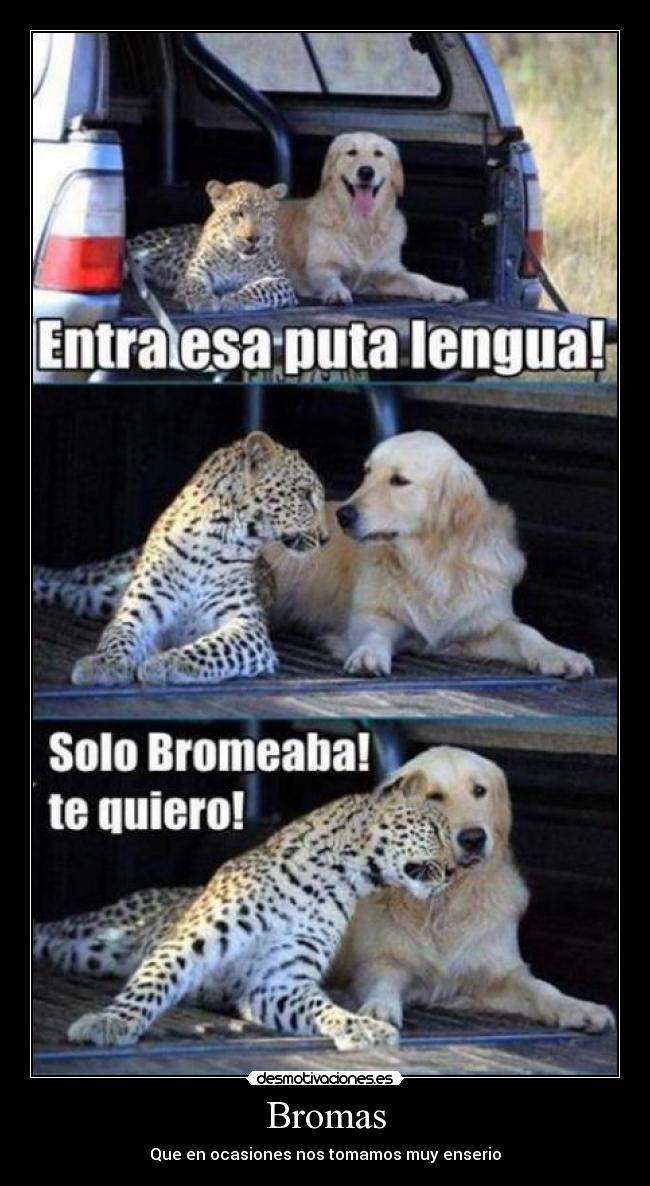 carteles jaja rei con perrito que caya chetha jajaja kiero megy una buena nina siempr desmotivaciones