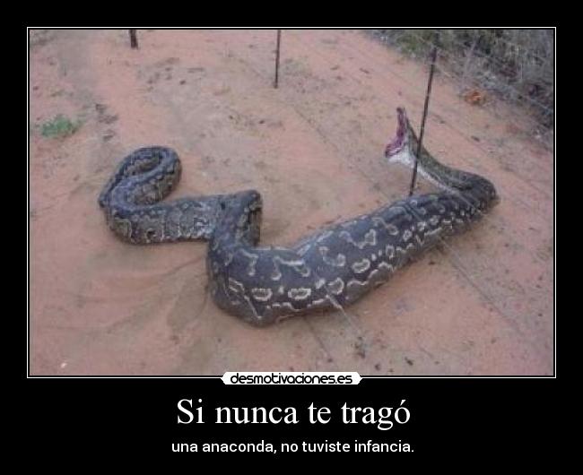 Si nunca te tragó - una anaconda, no tuviste infancia.