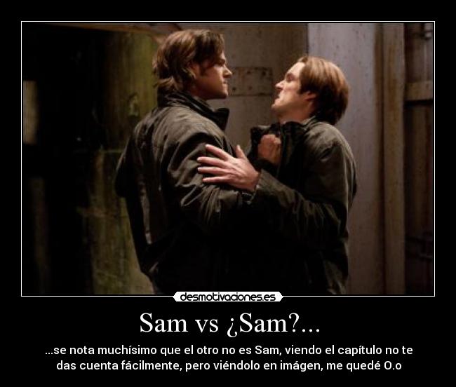 carteles sam sam desmotivaciones