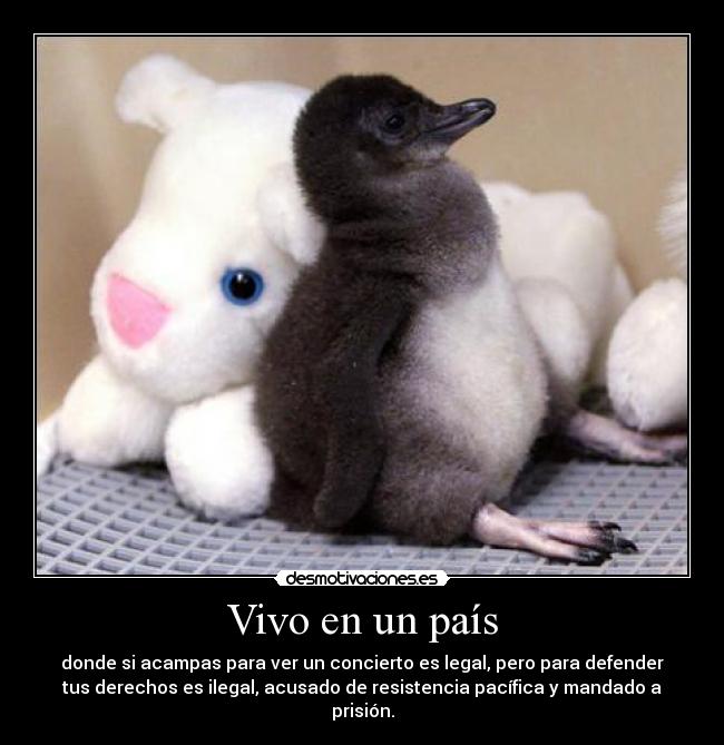Vivo en un país - donde si acampas para ver un concierto es legal, pero para defender
tus derechos es ilegal, acusado de resistencia pacífica y mandado a
prisión.