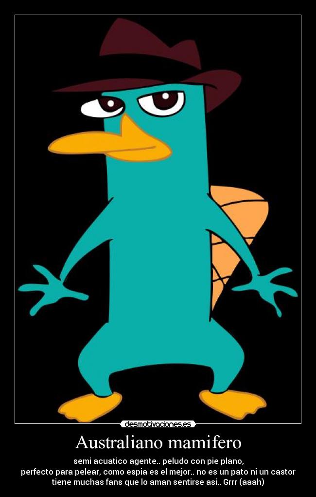 Australiano mamifero -