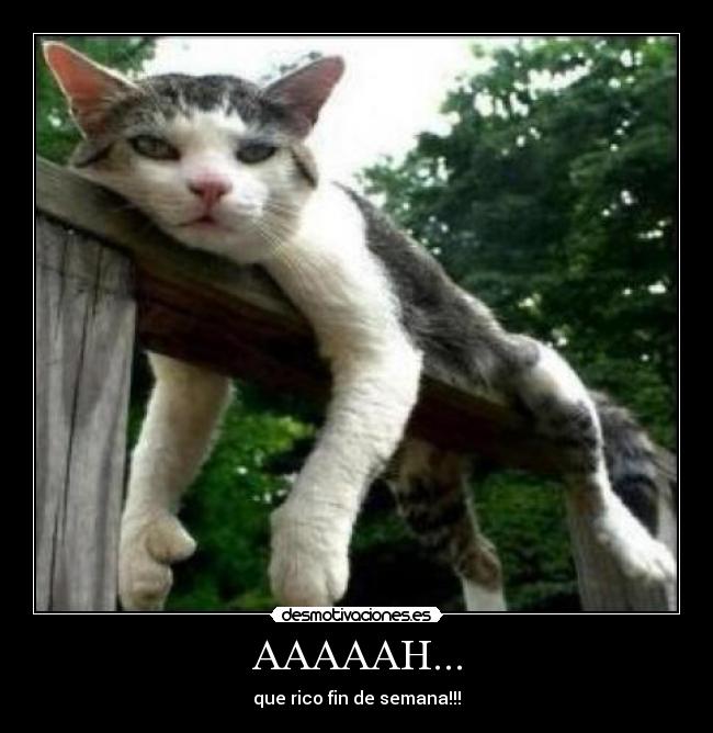 AAAAAH... - que rico fin de semana!!!