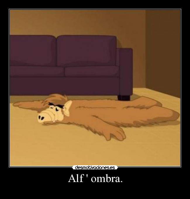 Alf  ombra. - 