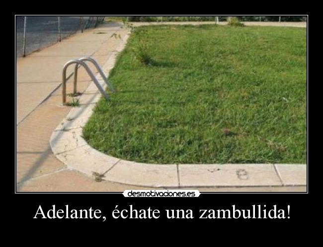 Adelante, échate una zambullida! - 