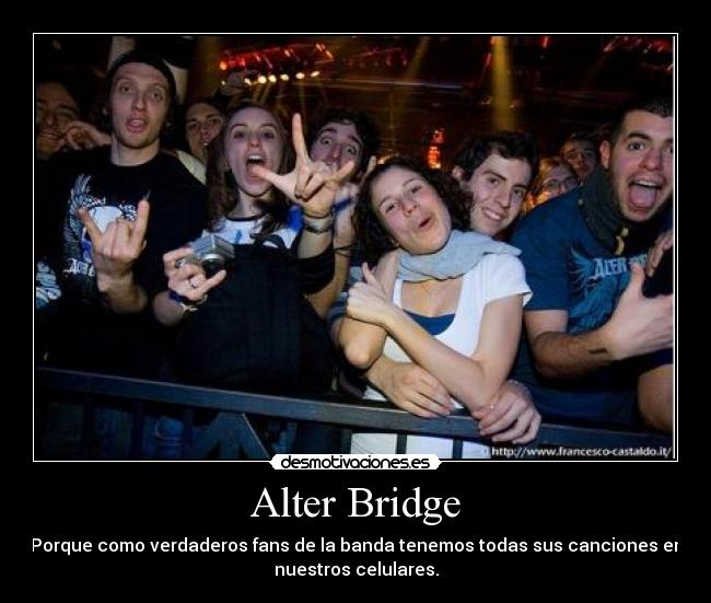 Alter Bridge -