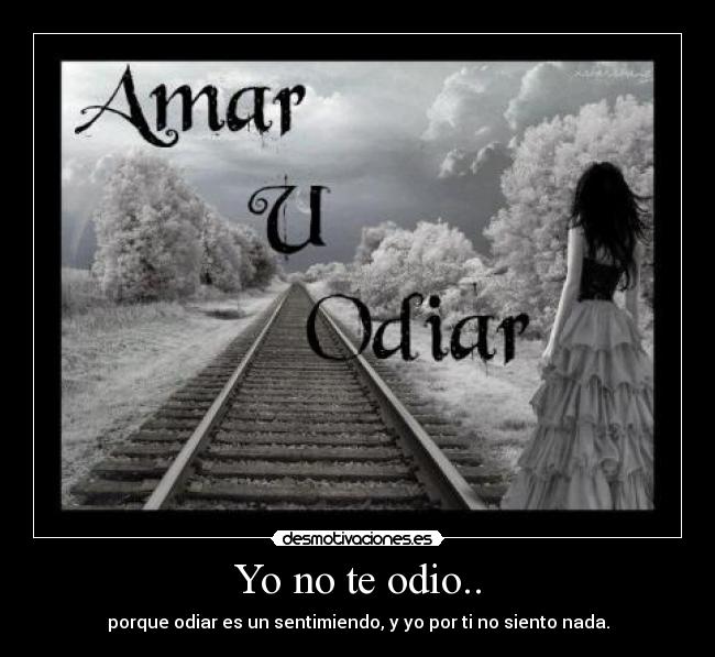 carteles odio vane desmotivaciones