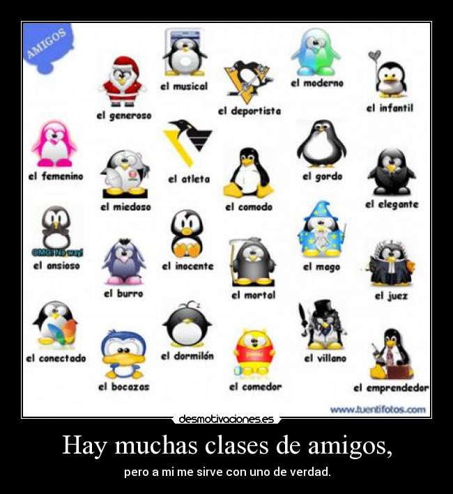 Hay muchas clases de amigos, - pero a mi me sirve con uno de verdad.