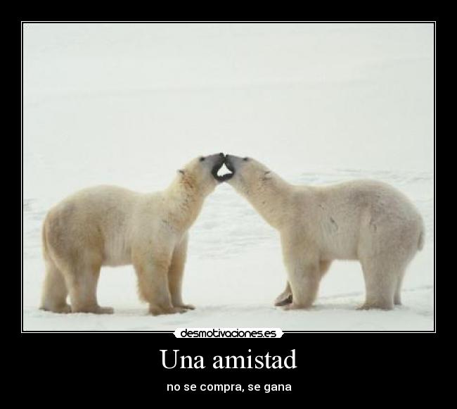 Una amistad - no se compra, se gana