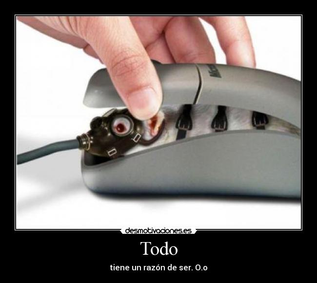 Todo - tiene un razón de ser. O.o