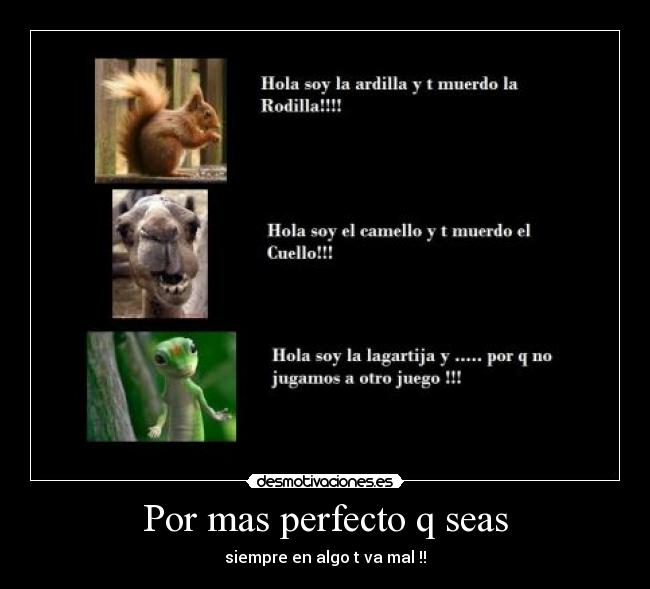 Por mas perfecto q seas - 