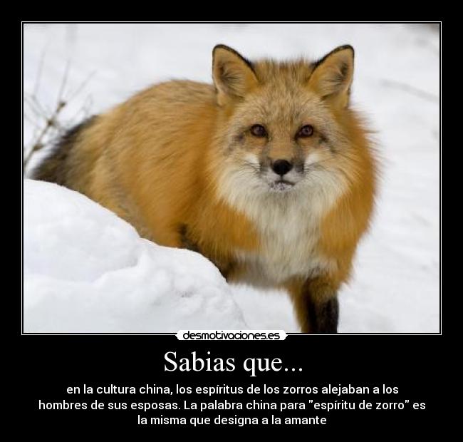 Sabias que... - en la cultura china, los espíritus de los zorros alejaban a los
hombres de sus esposas. La palabra china para espíritu de zorro es
la misma que designa a la amante