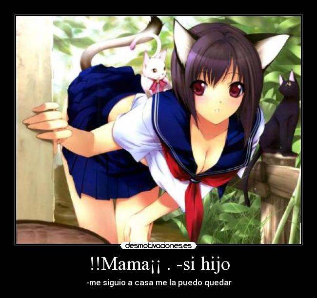 !!Mama¡¡ . -si hijo - -me siguio a casa me la puedo quedar