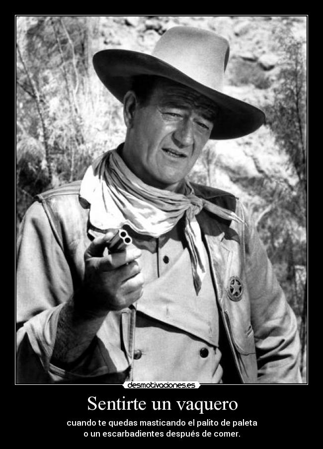 carteles soy john wayne primera accion gracias peregrinos desmotivaciones