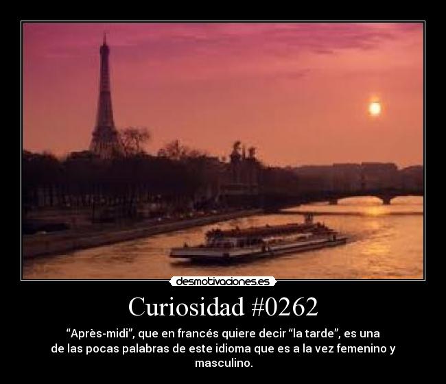 Curiosidad #0262 - 