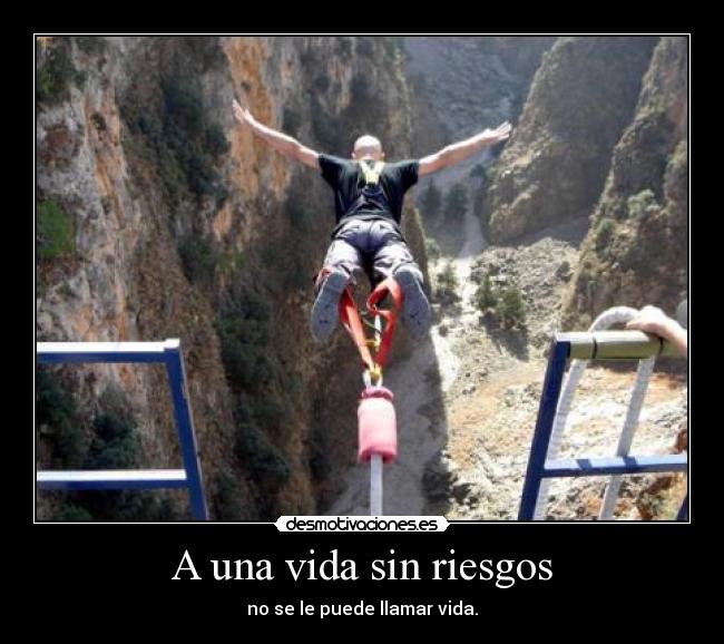 carteles vida tomar riesgos vida desmotivaciones