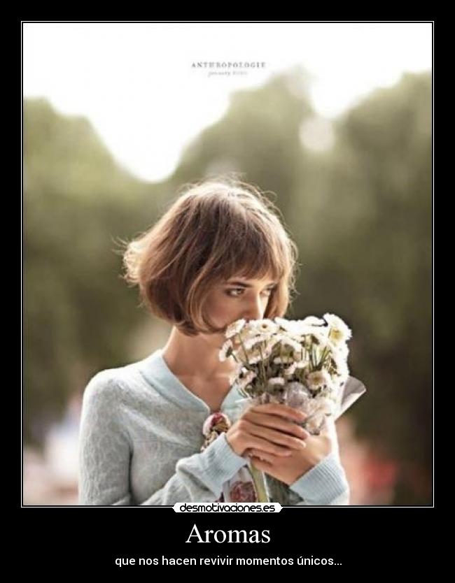 Aromas - que nos hacen revivir momentos únicos...