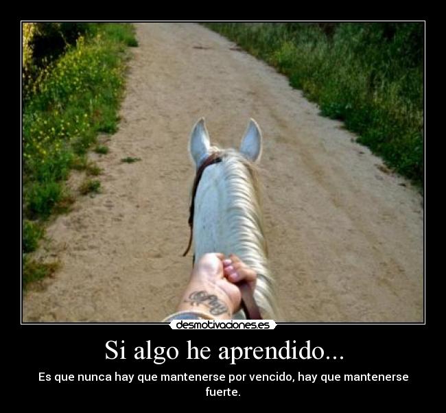 Si algo he aprendido... - Es que nunca hay que mantenerse por vencido, hay que mantenerse fuerte.