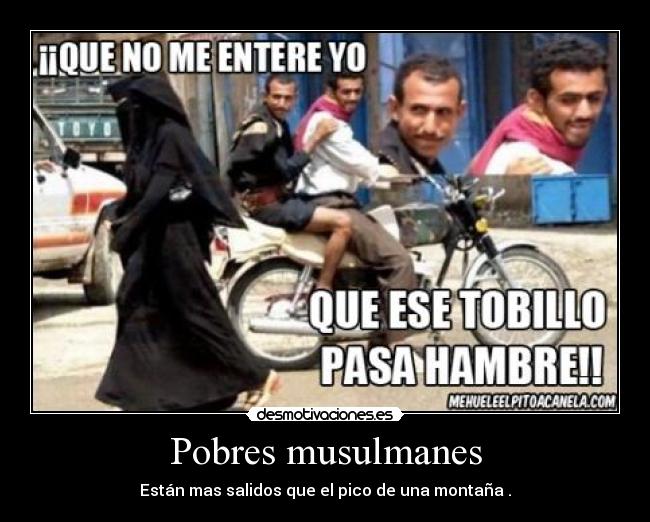 Pobres musulmanes - Están mas salidos que el pico de una montaña .