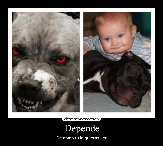 carteles desmotivaciones