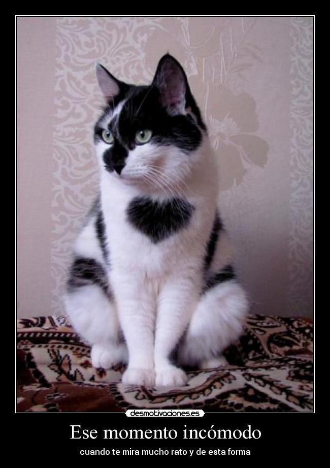 Ese momento incómodo - cuando te mira mucho rato y de esta forma