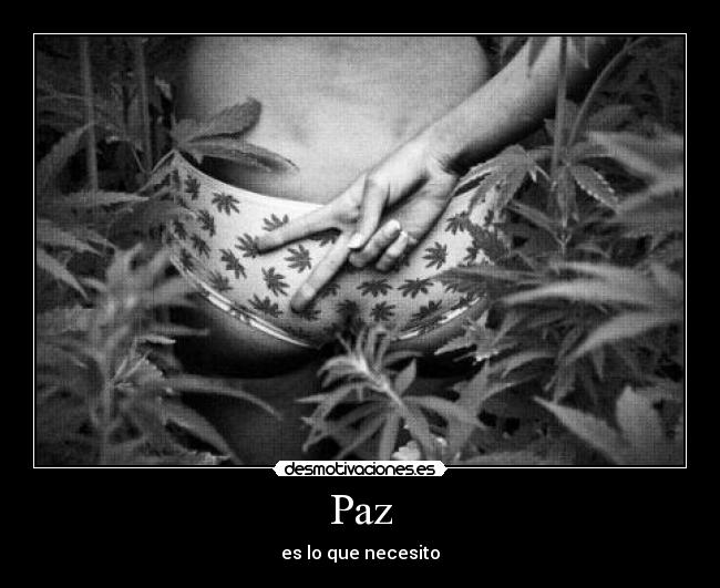 Paz - es lo que necesito
