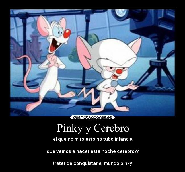 Pinky y Cerebro - el que no miro esto no tubo infancia
que vamos a hacer esta noche cerebro??
tratar de conquistar el mundo pinky