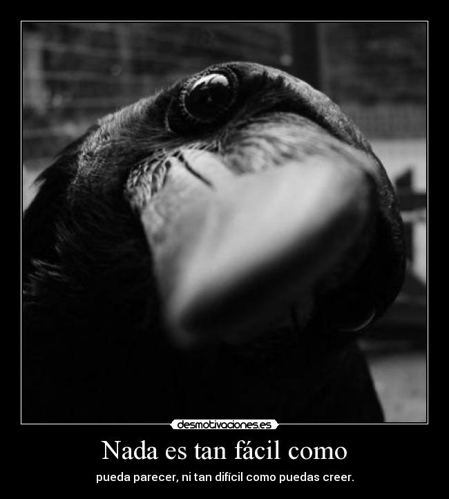 Nada es tan fácil como - 