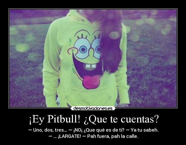 ¡Ey Pitbull! ¿Que te cuentas? - 