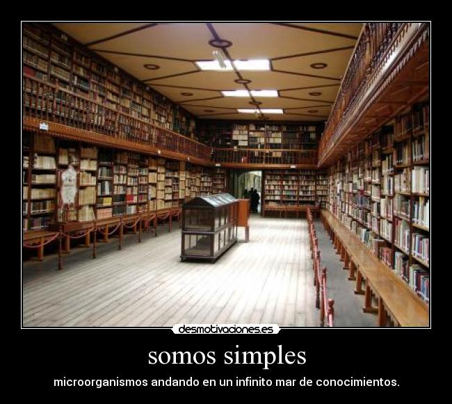 carteles mmbp desmotivaciones