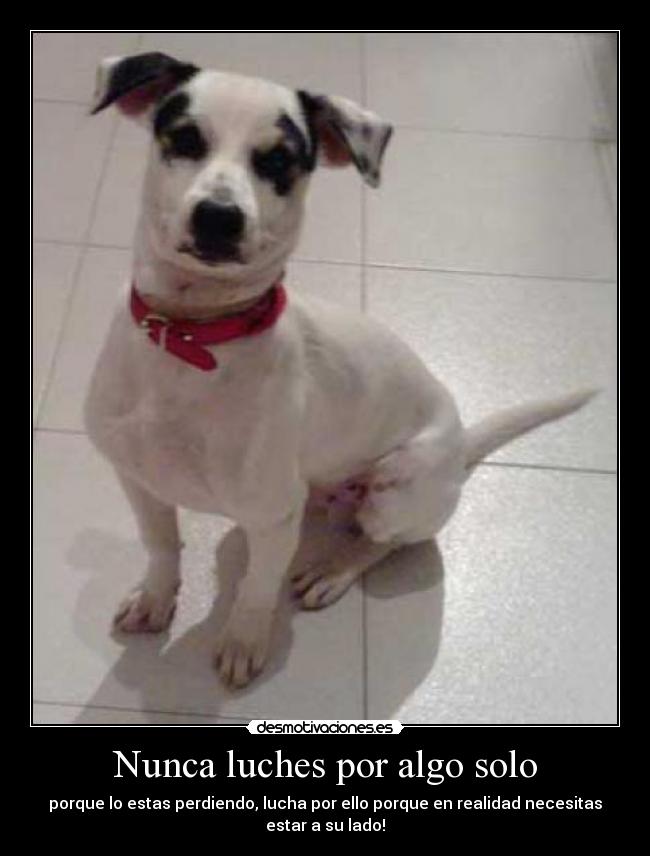 Nunca luches por algo solo -