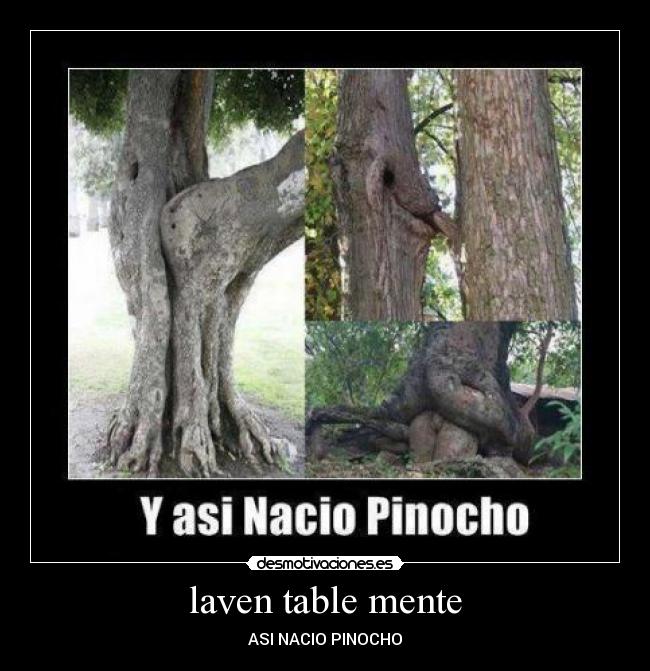 laven table mente - ASI NACIO PINOCHO