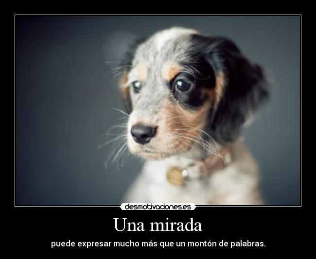 carteles laquehacefotosalostios esta demasiado visto pero que siento ahora beatryz findingnemo desmotivaciones