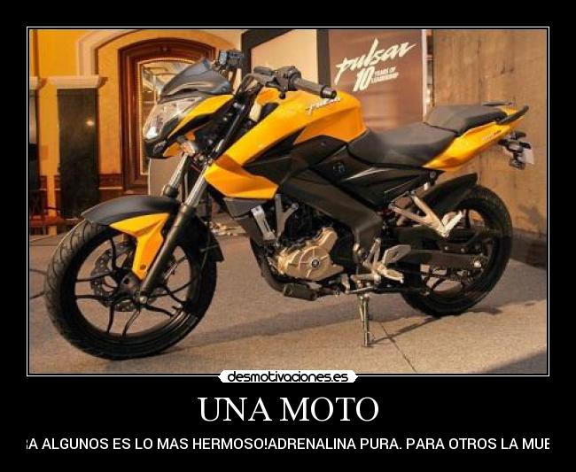 carteles motos desmotivaciones