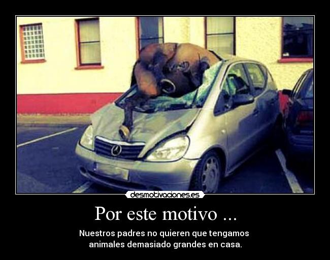 Por este motivo ... -