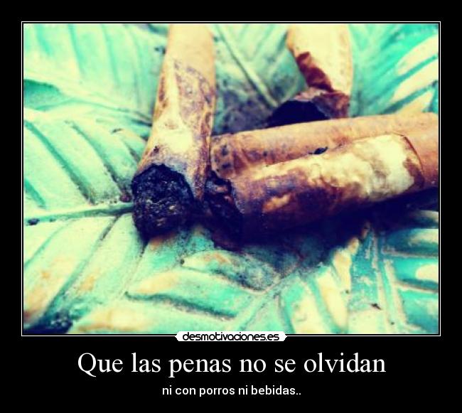 Que las penas no se olvidan - 