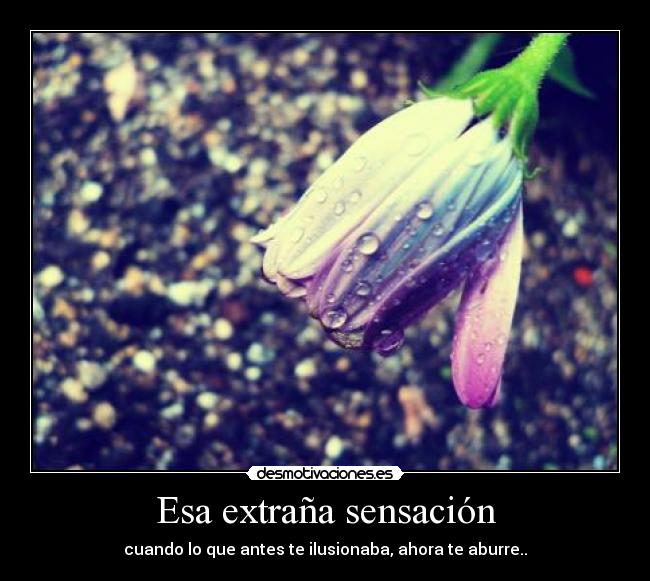 Esa extraña sensación - 