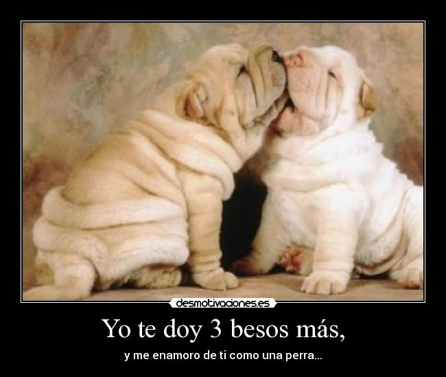 Yo te doy 3 besos más, - y me enamoro de ti como una perra...