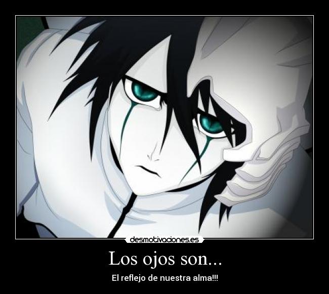 Los ojos son... -