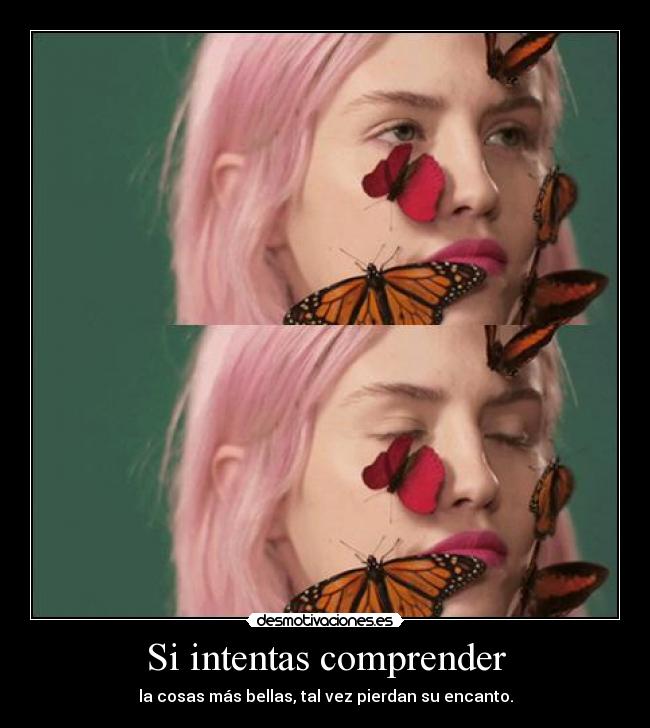 Si intentas comprender - 