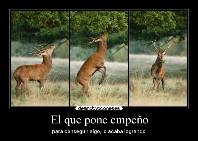 El que pone empeño -