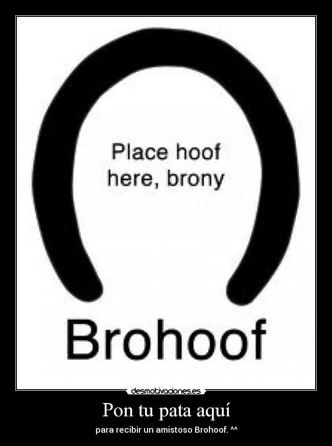 Pon tu pata aquí - para recibir un amistoso Brohoof. ^^