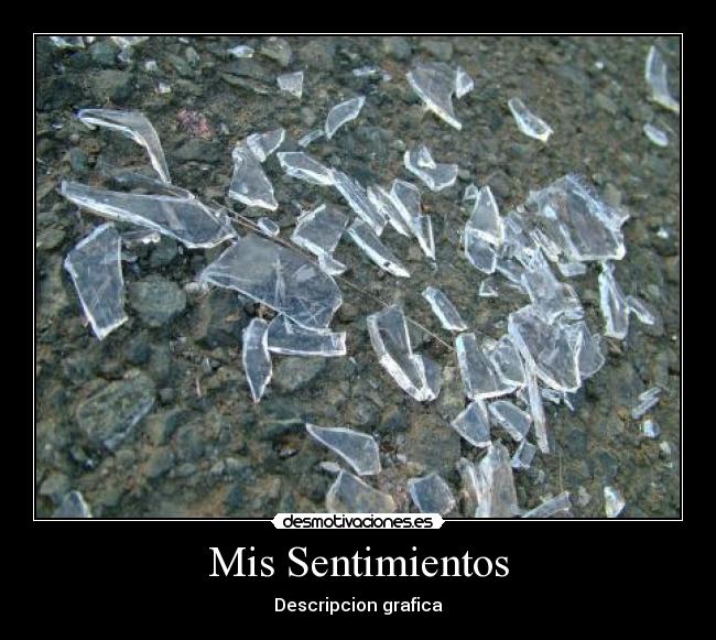 Mis Sentimientos - Descripcion grafica