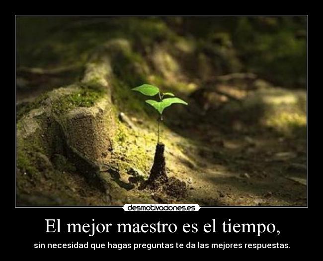 El mejor maestro es el tiempo, - sin necesidad que hagas preguntas te da las mejores respuestas.