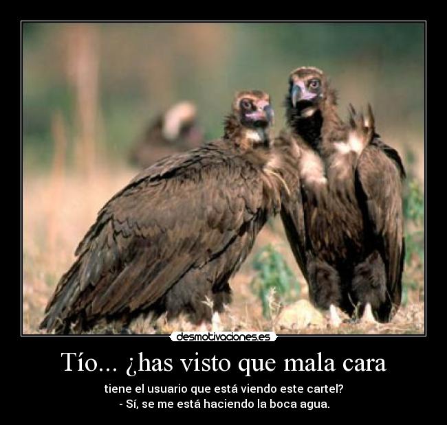 carteles forrest gump desmotivaciones