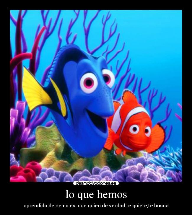 lo que hemos - aprendido de nemo es: que quien de verdad te quiere,te busca