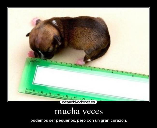 mucha veces -