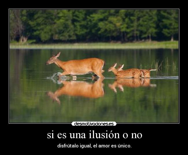 si es una ilusión o no - disfrútalo igual, el amor es único.
