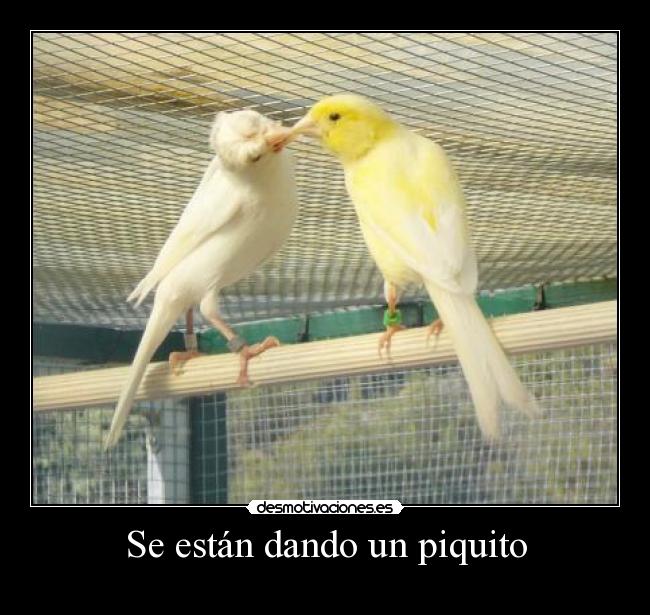 Se están dando un piquito -